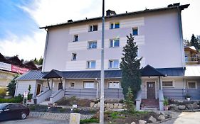 Apartament Karpatka